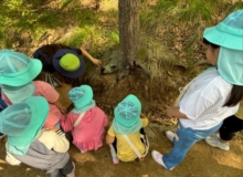 [��ϱ���û]������ ������ȯ���� ���� ����